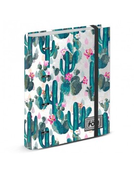 CARPESANO A4 CACTUS OOH MY POP!